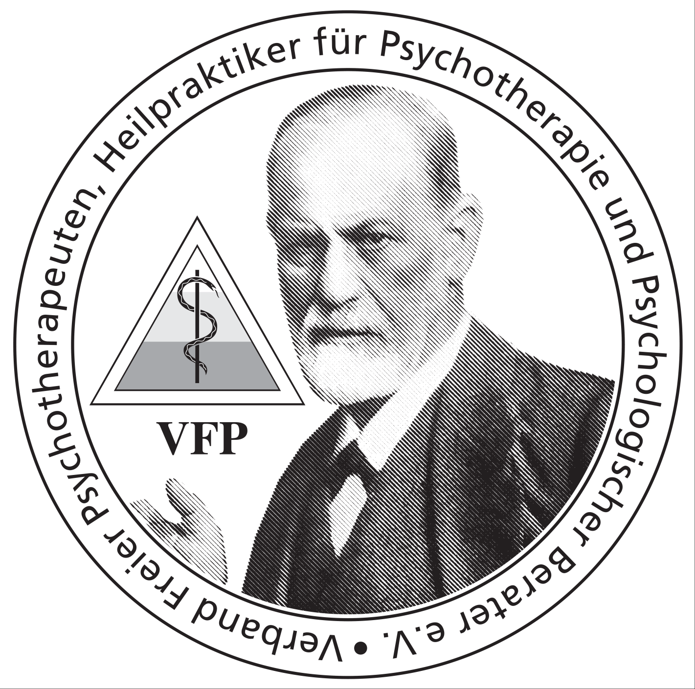 vfp_logo3.jpg